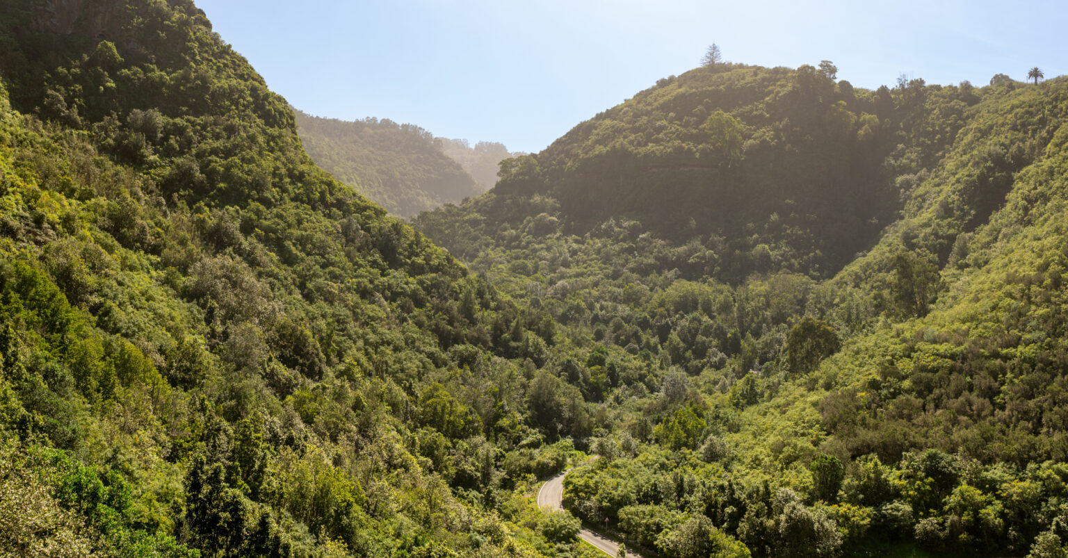 Geheimtipps für Gran Canaria Urlaubstracker de