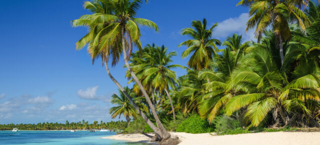 Dom Rep Luxusurlaub: 8 Tage Punta Cana im neuen 5* Strandhotel mit All Inclusive, Flug, Transfer & Resort-Guthaben für 1617€