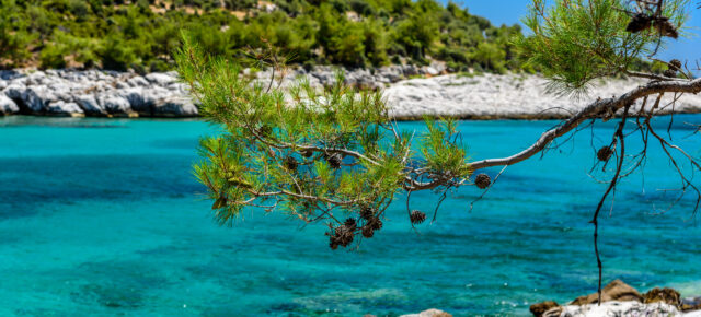 Frühbucher Griechenland Schnäppchen: 6 Tage Thassos im TOP 4* Boutique Hotel mit Frühstück, Flug & Transfer ab 285€