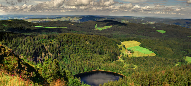 Top 10 Reiseziele 2022: Lonely Planet wählt Freiburg in Top Drei der besten Reiseziele