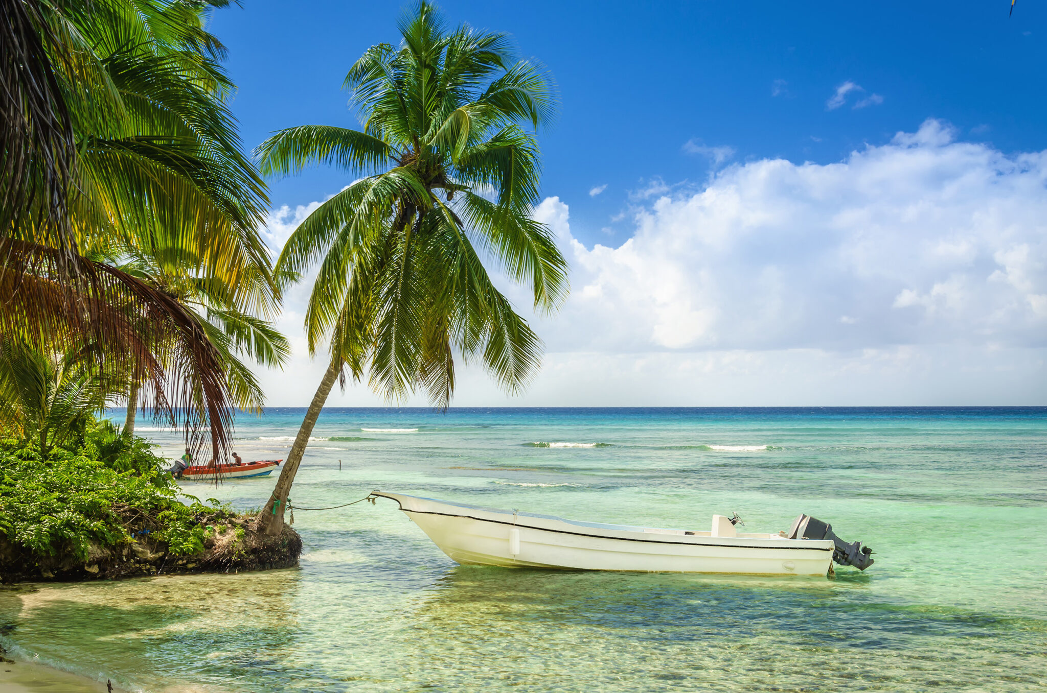 Wunderschöne Reisezeit Dominikanische Republik: Ein Paradies für Jedermann 🏝️