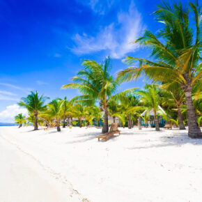 Philippinen Tropischer Strand Palmen