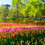 2 Tage zum Blumenpark in Amsterdam mit Premium Hotel & Keukenhof Tickets für nur 79€