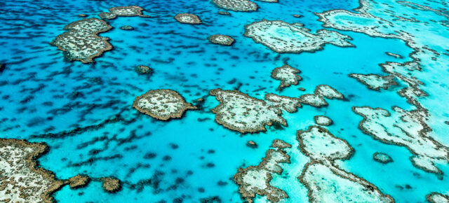 Tauchen am Great Barrier Reef: Die besten Divespots am größten Korallenriff der Erde