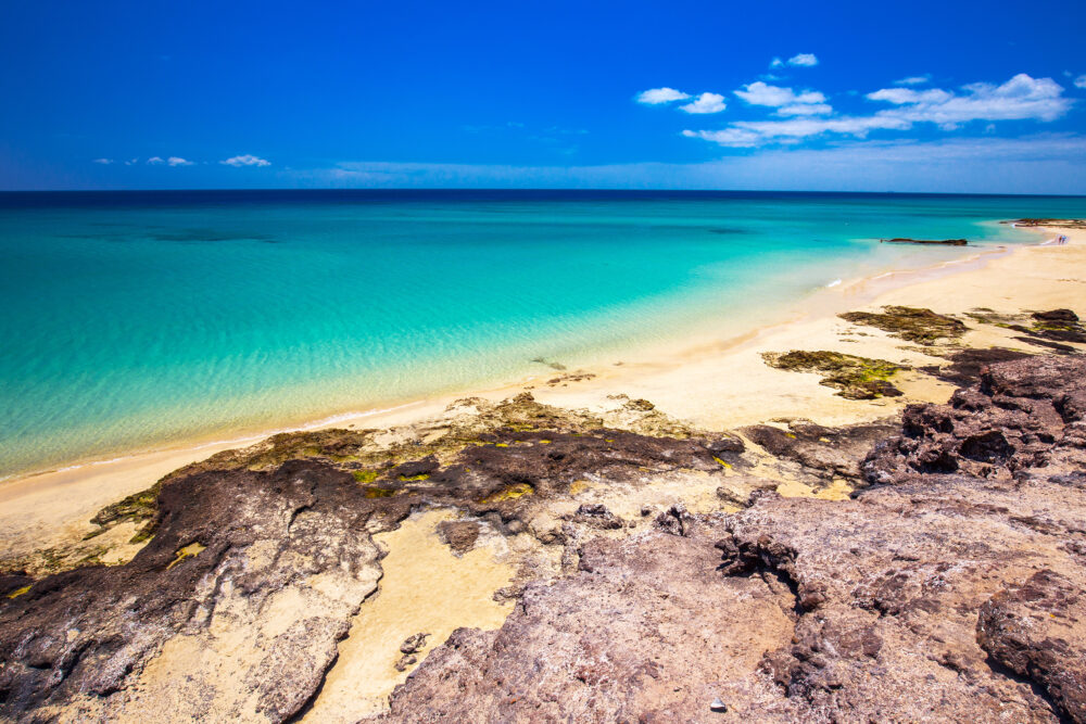 Spanien Kanaren Fuerteventura Costa Calma