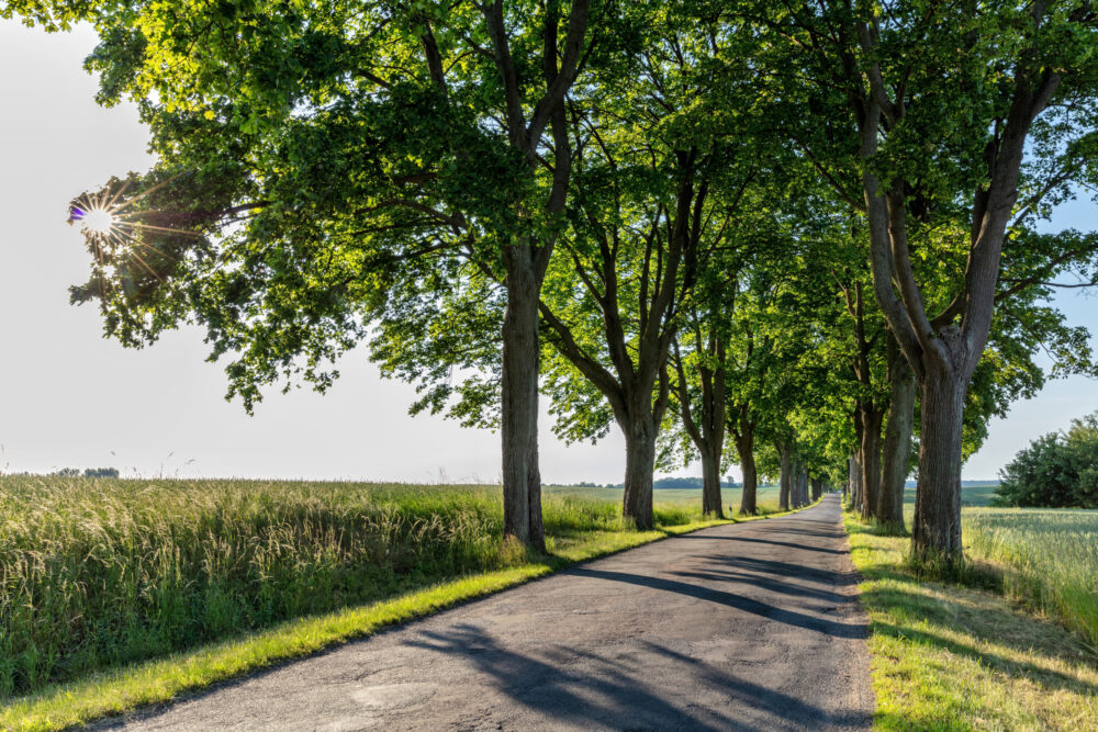 Die Top 8 Der Außergewöhnlichsten Roadtrips In Deutschland 