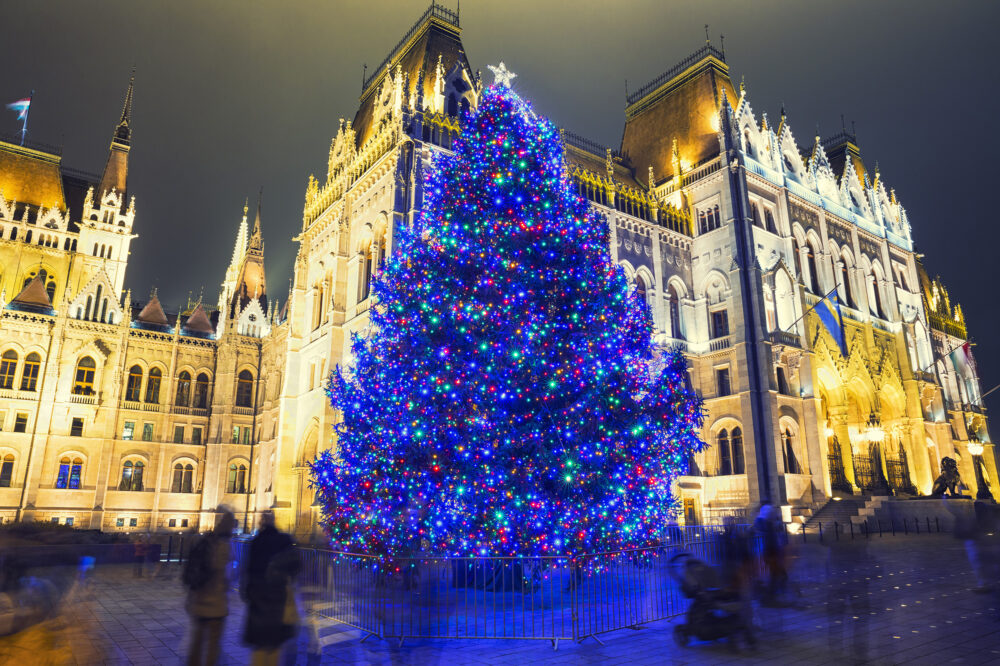 Ungarn Budapest Christbaum Parlament