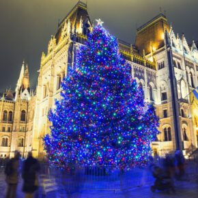 Ungarn Budapest Christbaum Parlament