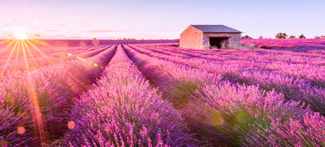 Wochenende in der Provence: 2 Tage zur Lavendelblüte im 4* Hotel mit Frühstück ab 74€