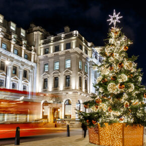 Großbritannien London Weihnachtsbaum Glitzer