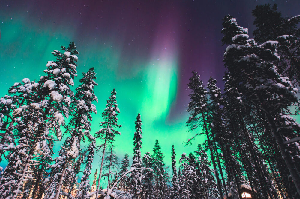 Norwegen Polarlichter Baeume