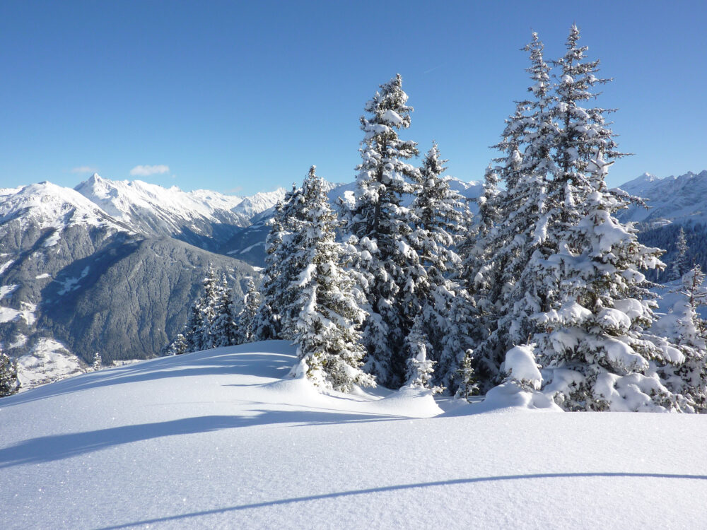 Oesterreich Tirol Schnee Baeume