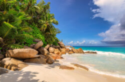 Traumziel Seychellen: 8 Tage mit TOP 3* Unterkunft & Direktflug nur 874€