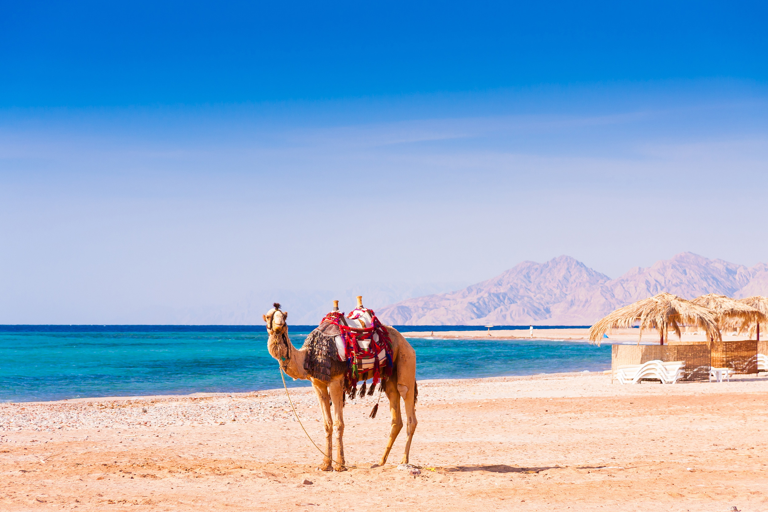 Frühbucher Schnäppchen: Direktflüge Hin- und Rückflüge nach Ägypten nur 95€