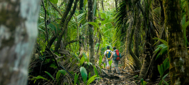 Die Top 7 Nationalparks in Costa Rica: Vulkane, Regenwälder & Faultiere