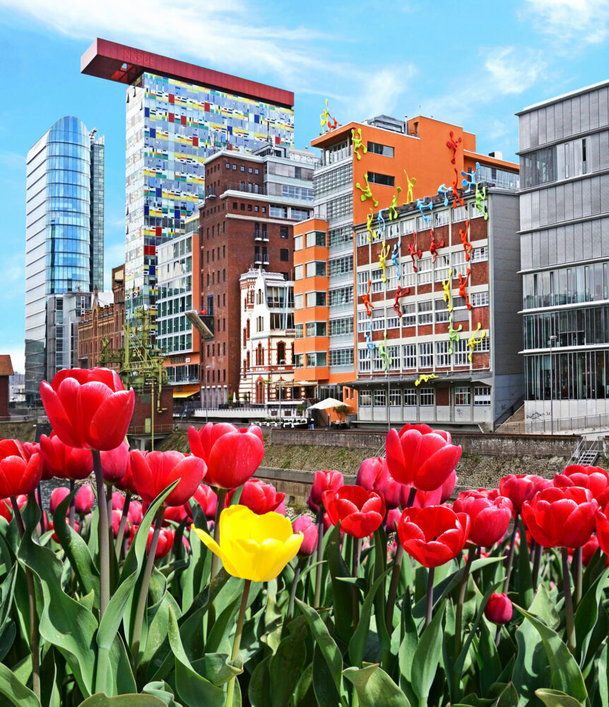 Düsseldorf Tulpen