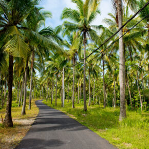 Indonesien Bali Nusa Penida Straße