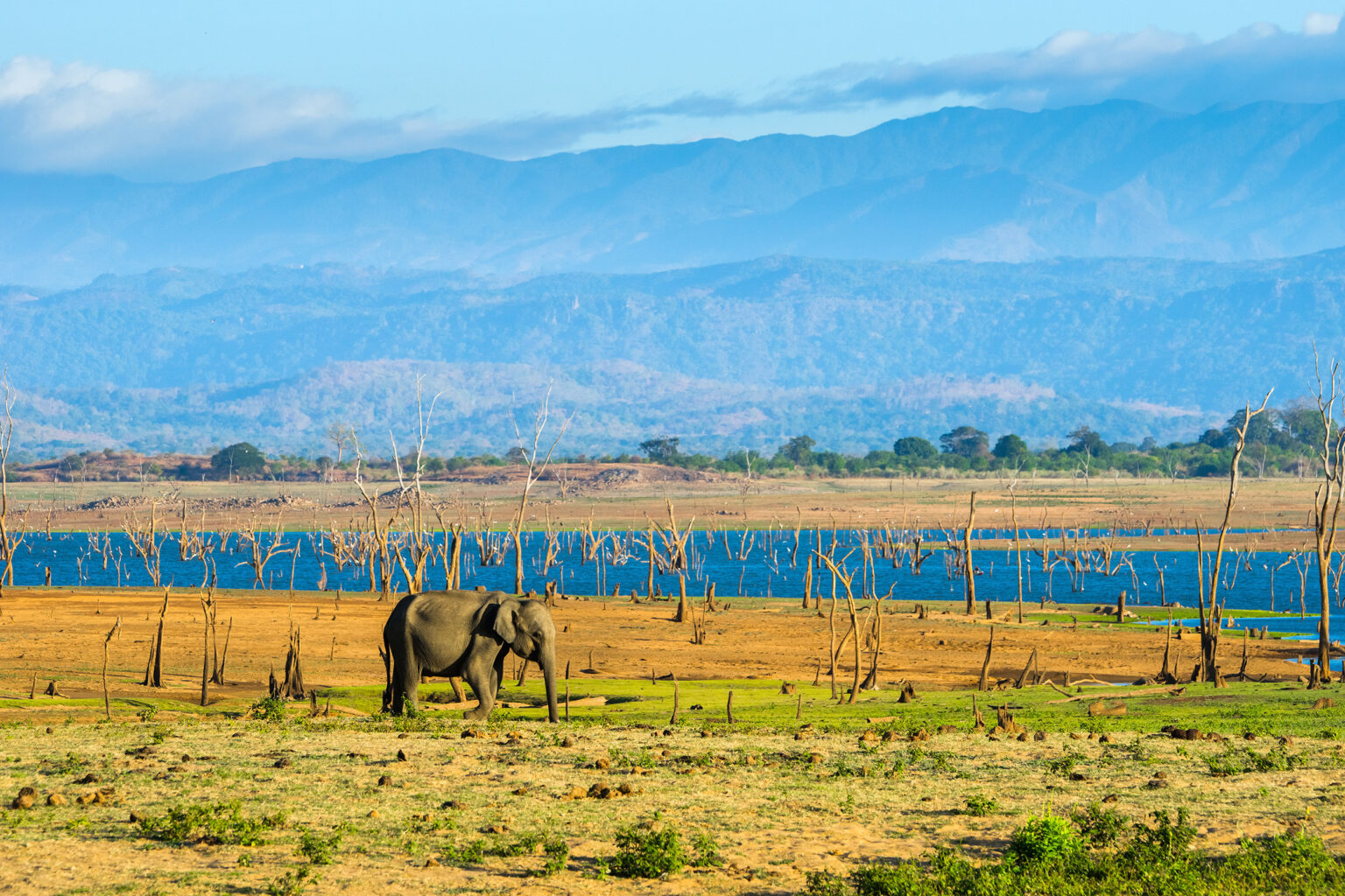 Sri Lanka Backpacking Routen Tipps And Highlights Urlaubstrackerde 