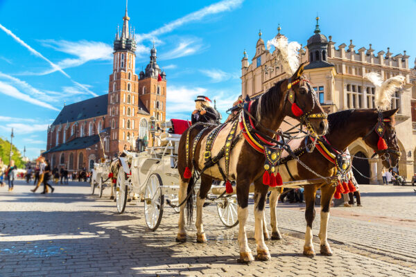 Polen Krakow Main Square Pferde