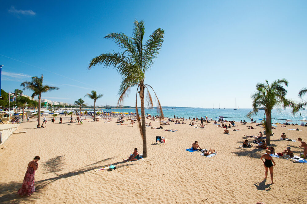 Spanien Bbarcelona Beach Palme