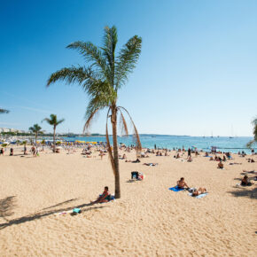 Spanien Bbarcelona Beach Palme