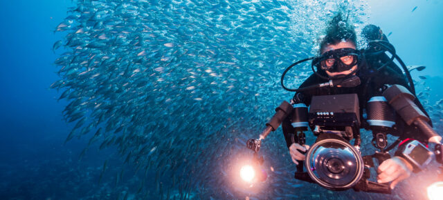 Tauchen auf Curaçao: Die beliebtesten Spots für Euren Tauchurlaub