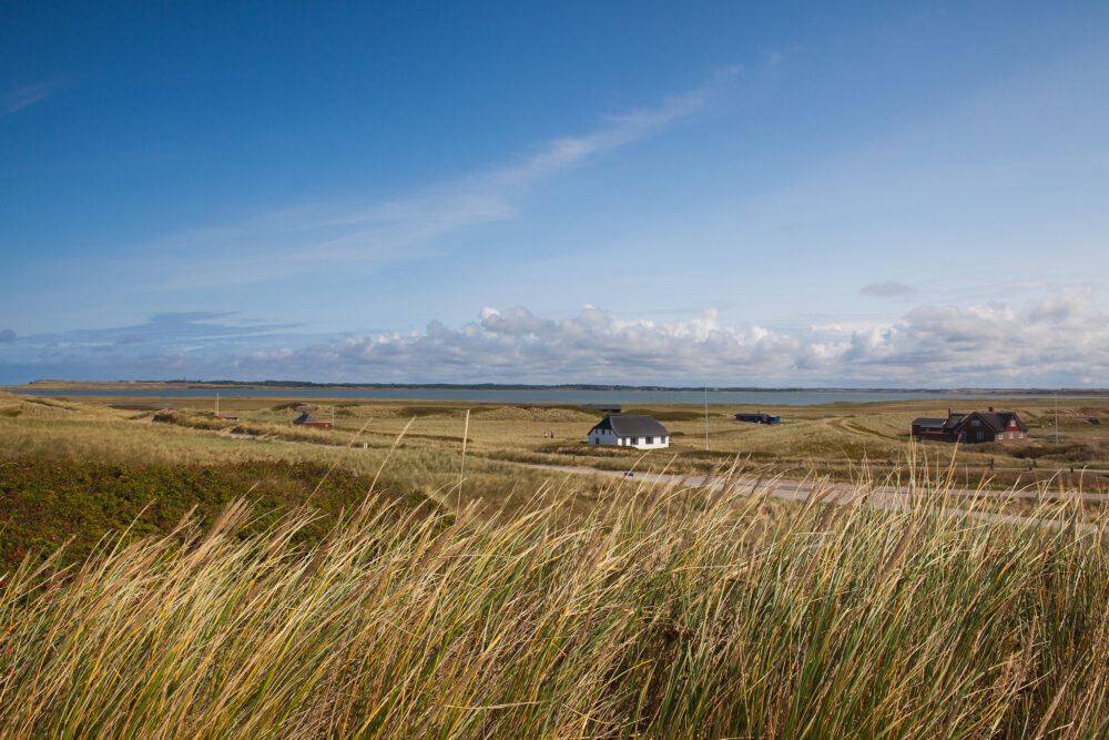 Dänemark Lodberg Thy Nationalpark