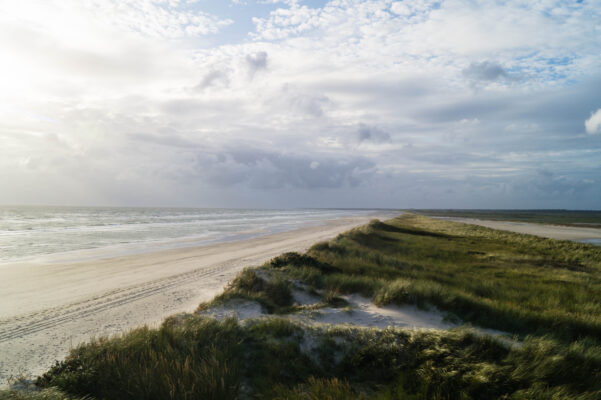 Dänemark Skallingen Nationalpark