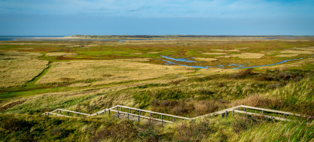 Holland übers Wochenende: 6 Tage im eigenen Ferienhaus ab 98 € p.P.