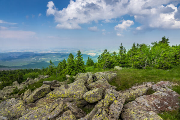 Deutschland Harz Berge