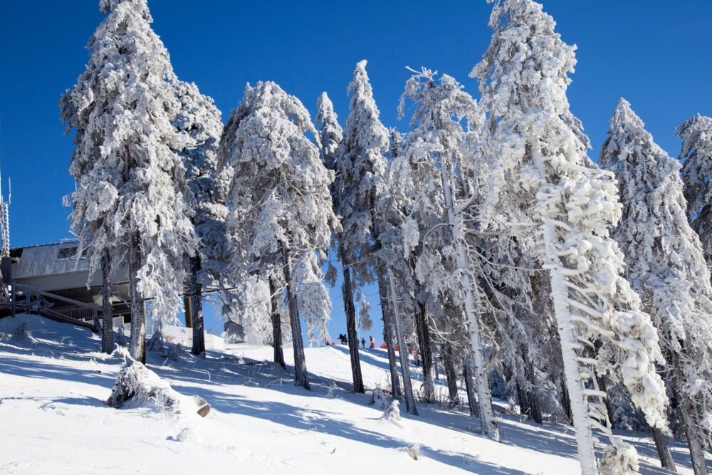 Deutschland Harz Braunlage-skipiste