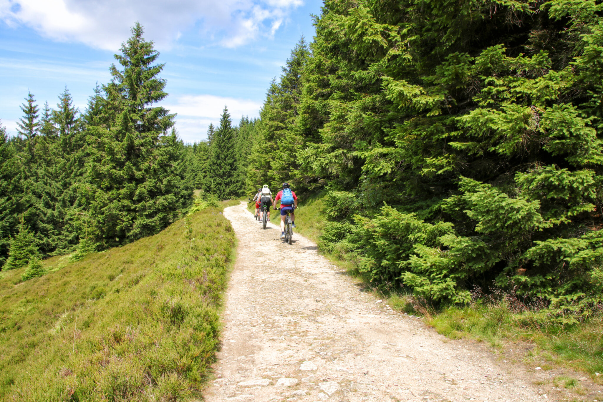 Urlaub im Harz 2024: Die besten Tipps für den Kurzurlaub