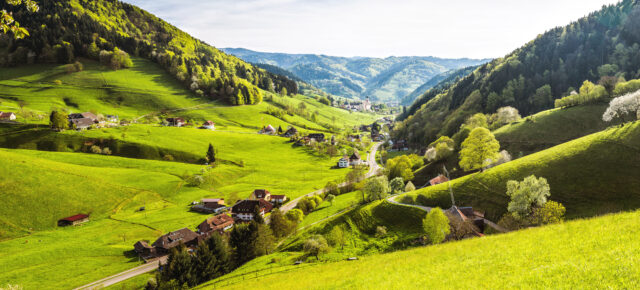 Wellness im Schwarzwald: 3 Tage Bad Herrenalb mit 3* Hotel, Frühstück & Spa ab 90€