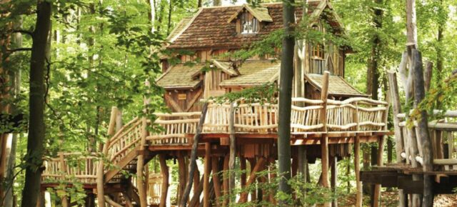 Tripsdrill Baumhaus: 2 Tage Familienspaß im Natur-Resort Tripsdrill & Wildparadies mit Frühstück ab 68€