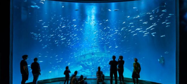 Kurztrip an die Ostsee: 2 Tage mit Übernachtung & Eintritt in das OZEANEUM Stralsund ab 91€