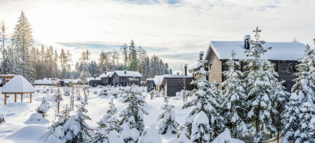 Winterzauber in Belgien: 5 Tage im Center Parcs Ferienhaus mitten im Wald ab 43€