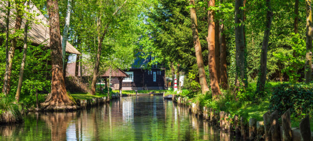 Urlaub im Spreewald: Die besten Tipps für Aktivitäten, Sehenswürdigkeiten & die schönsten Orte