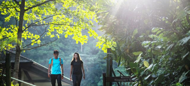 Slow Tourism in Singapur: Top 9 Outdooraktivitäten für Körper, Geist & Seele