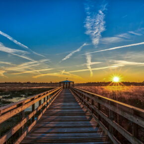 beaumont- cattail marsh scenic wetlands & boardwalk