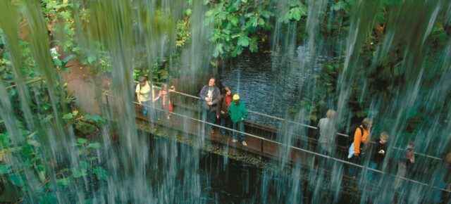 Schönster Zoo der Niederlande: 2 Tage in Arnheim inkl. Burger’s Zoo Eintritt, Premium Hotel & Frühstück nur 75€