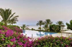 Black Week Kracher: 6 Tage Hurghada im TOP 5* TUI MAGIC LIFE Kalawy mit All Inclusive, Flug &...