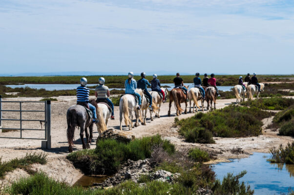 Frankreich Camargue Reiten am Strand