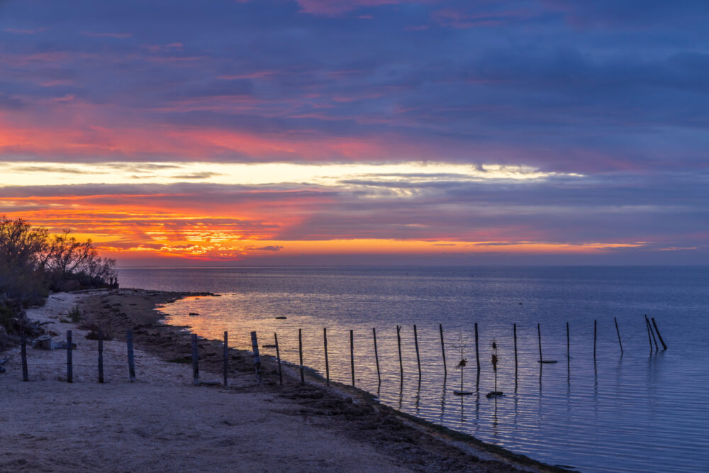 Frankreich Camargue Sonnenuntergang