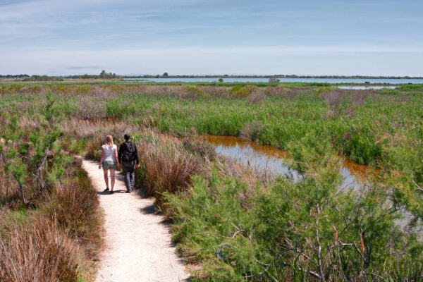 Frankreich Camargue Wandern