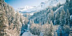 Erholung in den Schweizer Alpen: 2 Tage Adelboden im TOP 4* Wellnesshotel mit Bergpanorama, F...