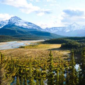 Saskatchewan North River