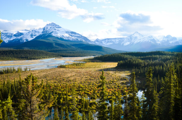 Saskatchewan North River