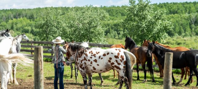 Urlaub auf einer Ranch in Kanada: Saskatchewan lädt Euch in die Welt der Cowboys ein!