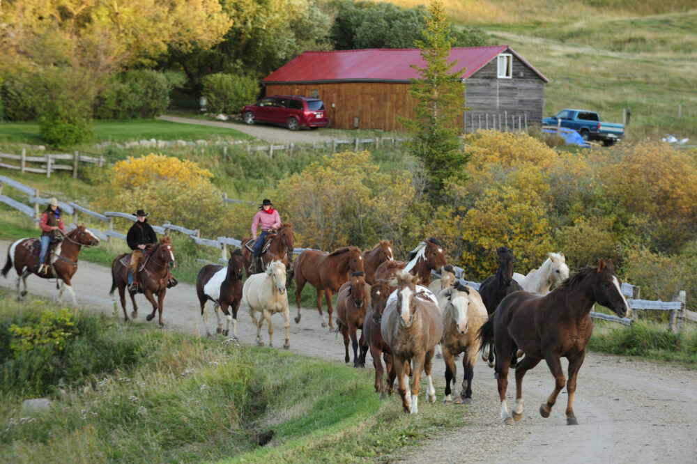 OA02708Kanada Saskatchewan Reevor Ranch