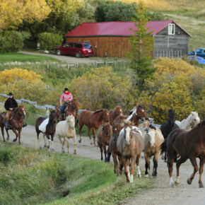 Kanada Saskatchewan Reevor Ranch